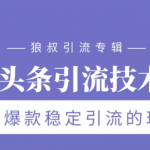 狼叔今日头条引流技术3.0，打造爆款稳定引流的玩法，VLOG引流技术