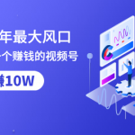 抓住2020年最大风口，小白也能做一个赚钱视频号，12天赚10W（赠送爆款拆解)