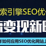 SEO搜索引擎优化总监实战VIP课堂【透析2020最新案例】快速实现年新30W