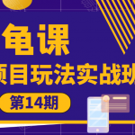 龟课·闲鱼项目玩法实战班第14期，批量细节玩法，一个月收益几万