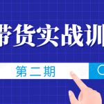 知乎带货实战训练营线上第2期，一步步教您如何通过知乎带货，建立长期被动收入通道