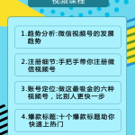 视频号运营实战课2.0，目前市面上最新最全玩法，快速吸粉吸金（10节视频）