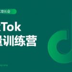 2020最新TikTok流量增长训练营（完结）附PPT