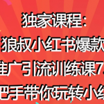 狼叔小红书爆款推广引流训练课7.0，手把手带你玩转小红书