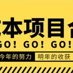 低成本零成本项目合集:赚钱快的慢的,暴利的,线上线下的,价值万元资料