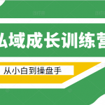 电商私域成长训练营，从小白到操盘手（价值999元）