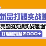 凌童《新品打爆实战班》,一套完整的实操实战落地方法，打爆链接超2000+（28节课)