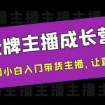 金牌主播成长营，一周从直播小白入门带货主播，让直播更简单