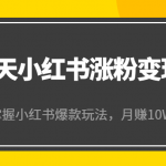 21天小红书涨粉变现营（第4期）：带你掌握小红书爆款玩法，月赚10W+秘密