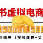 小红书虚拟电商项目：从小白到精英 月收益5000到30000 (视频课程+交付手册)