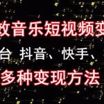 黄岛主《粒子特效音乐短视频变现项目》主攻平台抖音、快手、视频号多种变现方法