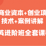 新商业资本+创业项目，技术+案例讲解，精英进阶班全套课程