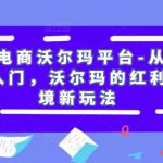 跨境电商沃尔玛平台-从0基础到入门，沃尔玛的红利，跨境新玩法