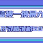 微信搜一搜引流全系列课程，日引精准粉500+（8节课）