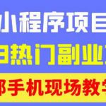 抖音小程序9.0新技巧，2023热门副业项目，动动手指轻松变现