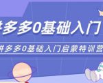 六一电商·拼多多运营0-1实操特训营，拼多多从基础到进阶的可实操玩法