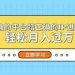 在正确的平台蹭正确的IP进行带货，轻松月入过万