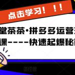 牛气学堂茶茶•拼多多运营玩法系列课—-快速起爆秘籍【更新】