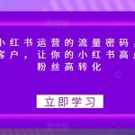 破解小红书运营的流量密码，揽获意向客户，让你的小红书高点赞多粉丝高转化