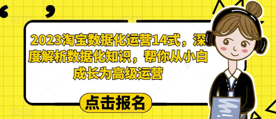 2023淘宝数据化运营14式深度解析数据化知识帮你从小白成长为高级运营