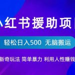 小红书援助项目新奇玩法，简单暴力，无脑搬运轻松日入500【揭秘】