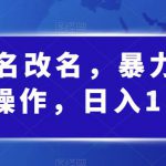 婴儿起名改名，暴力掘金，无脑操作，日入1000+【揭秘】