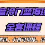 外面收费1288的抖音冷门蓝海项目，新手也可批量操作，月入1W+【揭秘】