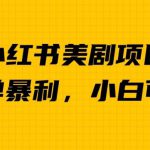 外面卖1980的小红书美剧项目，单日收益1000＋，小众暴利的赛道【揭秘】