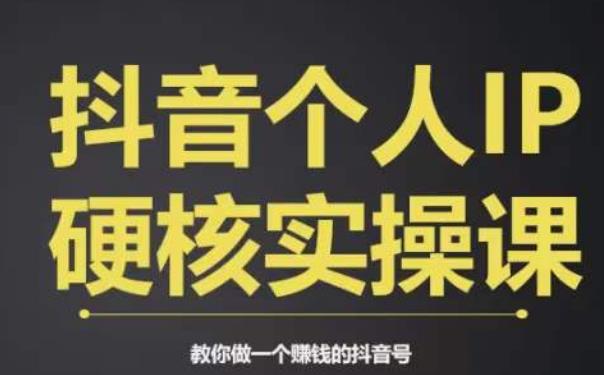 个人IP创富系统实战课商业定位流量打造短视频变现教你做个赚钱的抖音号