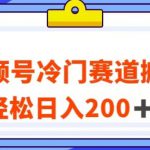 视频号最新冷门赛道搬运玩法，轻松日入200+【揭秘】