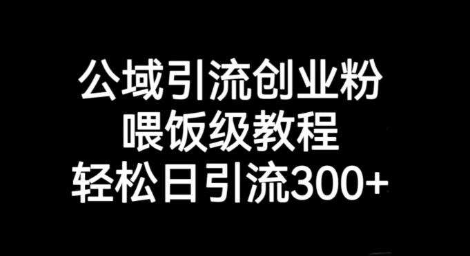 公域引流创业粉喂饭级教程轻松日引流300+【揭秘】