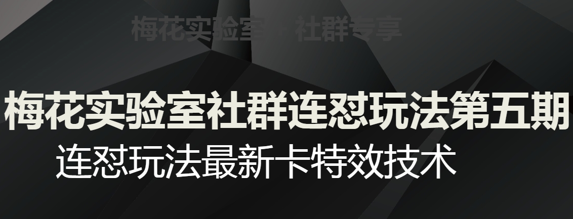 梅花实验室社群连怼玩法第五期视频号连怼玩法最新卡特效技术