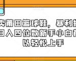 卖莆田篮球鞋，暴利掘金日入四位数新手小白都可以轻松上手【揭秘】