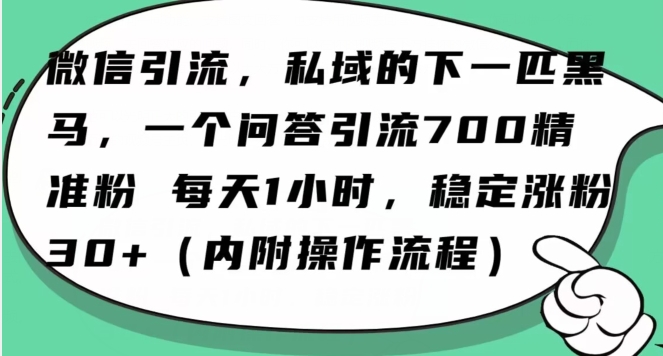 怎么搞精准创业粉？微信新赛道每天一小时利用Ai一个问答日引100精准粉