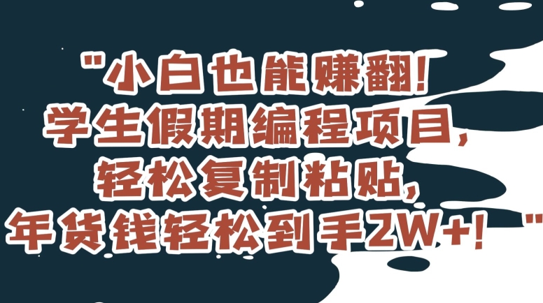 小白也能赚翻！学生假期编程项目轻松复制粘贴年货钱轻松到手2W+【揭秘】