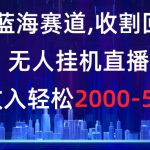 冷门蓝海赛道，收割回忆粉，无人挂机直播，单场收入轻松2000-5w+【揭秘】