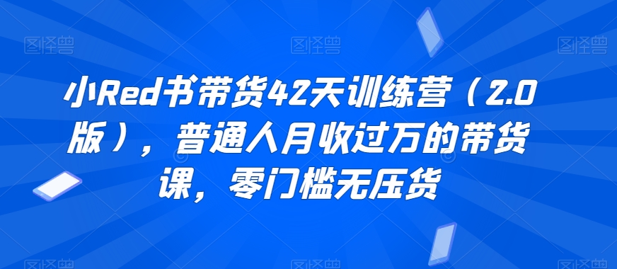 小Red书带货42天训练营（2.0版）普通人月收过万的带货课零门槛无压货