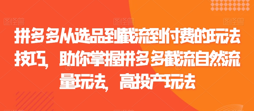 拼多多从选品到截流到付费的玩法技巧助你掌握拼多多截流自然流量玩法高投产玩法