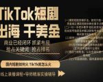 TikTok短剧出海干美金，商业已经闭环抓紧布局，抢占关键词抢占排名