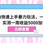 视频号小白快速上手暴力玩法，一部手机，一条视频，实测一周收益5000加有手就行【揭秘】