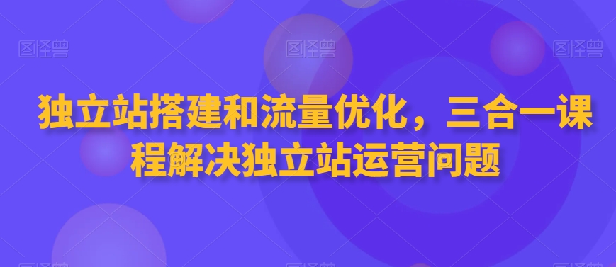 独立站搭建和流量优化三合一课程解决独立站运营问题