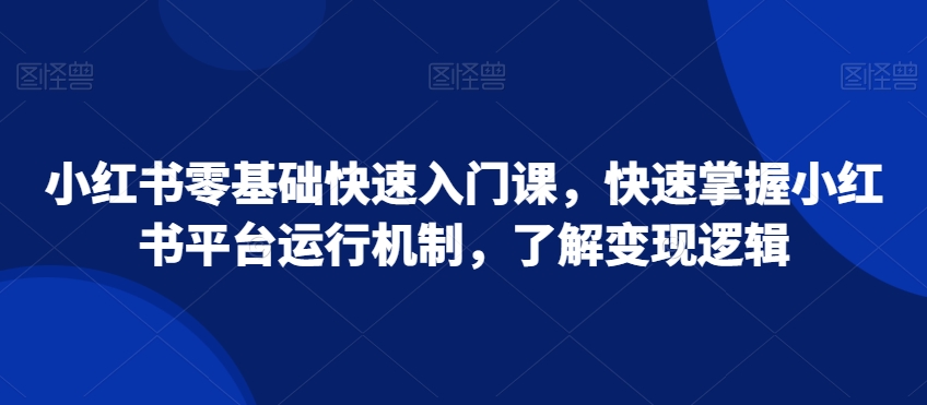 小红书零基础快速入门课快速掌握小红书平台运行机制了解变现逻辑