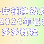 多多店铺挣钱之起店，2024年最新拼多多教程