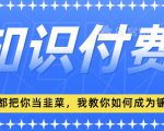 2024最新知识付费项目，小白也能轻松入局，全网都在教你做项目，我教你做镰刀【揭秘】