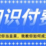 2024最新知识付费项目，小白也能轻松入局，全网都在教你做项目，我教你做镰刀【揭秘】