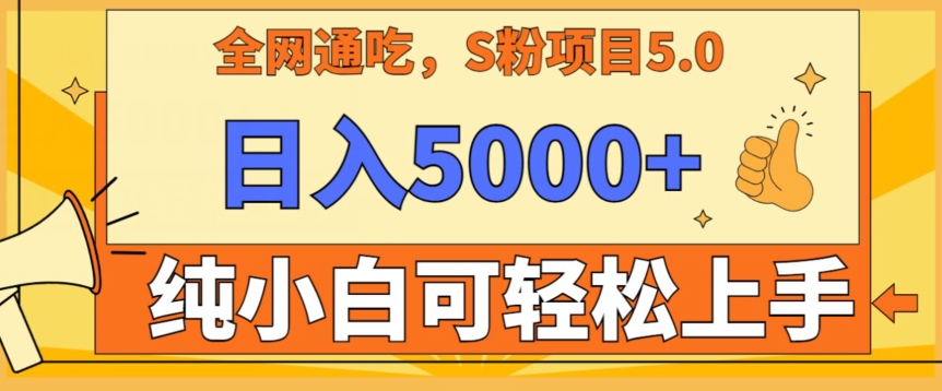 男粉项目5.0最新野路子纯小白可操作有手就行无脑照抄纯保姆教学【揭秘】