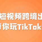 TikTok短视频跨境出海撸美金，带你玩TikTok短视频