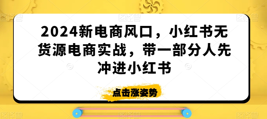 2024新电商风口小红书无货源电商实战带一部分人先冲进小红书