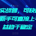 AI掘金实战营，可快速生成文章，新手可直接上手，收益趋于稳定