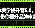 自媒体美学提升营5.0，手把手带你提升品牌审美